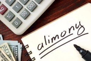 Support Alimony