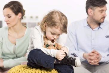 What is the difference between sole custody and joint custody